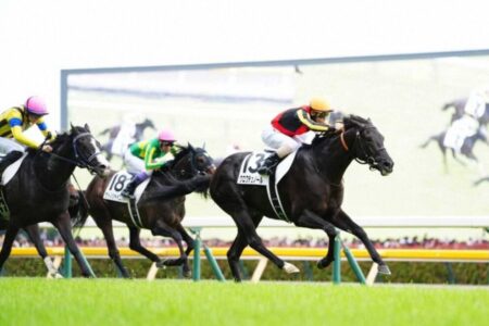 クロワデュノール強し！【2025/6/1/日本ダービー/東京競馬】