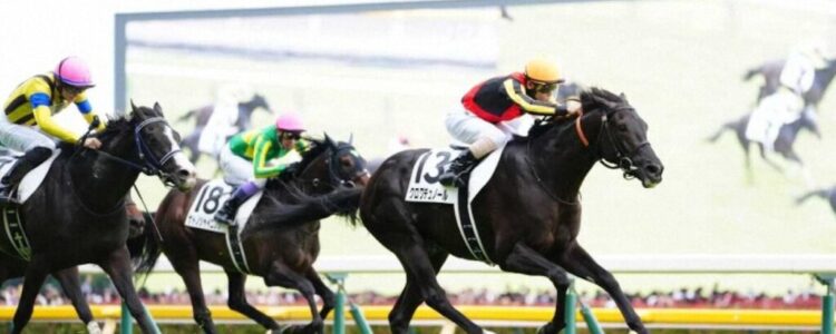 クロワデュノール強し！【2025/6/1/日本ダービー/東京競馬】