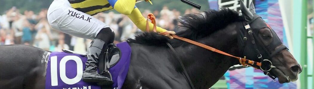 安田記念から得たもの・・・【2025/6/8/東京競馬】