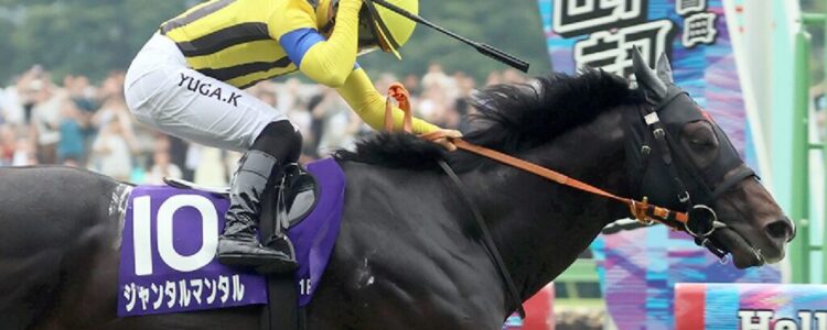安田記念から得たもの・・・【2025/6/8/東京競馬】