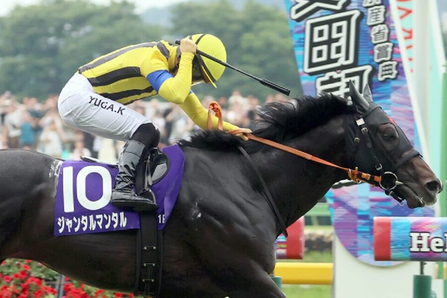 安田記念から得たもの・・・【2025/6/8/東京競馬】