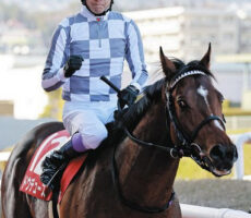 0212-kyoutokinen-1