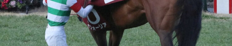 最近のダートレースはスローが多い・・・