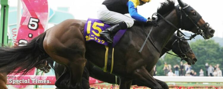 オークスから得たもの・・・【2025/5/25/東京競馬】