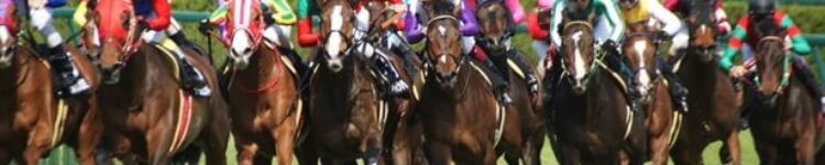 2023年8月5日（土）注目馬☆推薦馬＆参考買い目