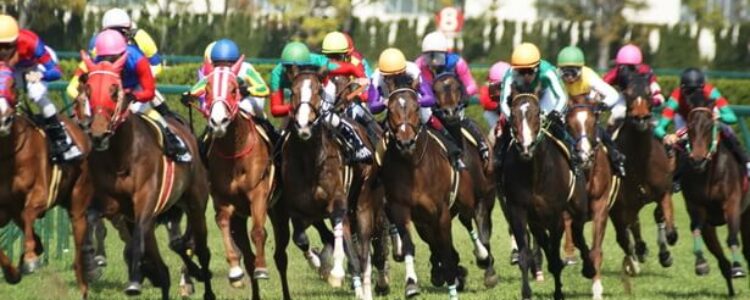 2023年8月5日（土）注目馬☆推薦馬＆参考買い目