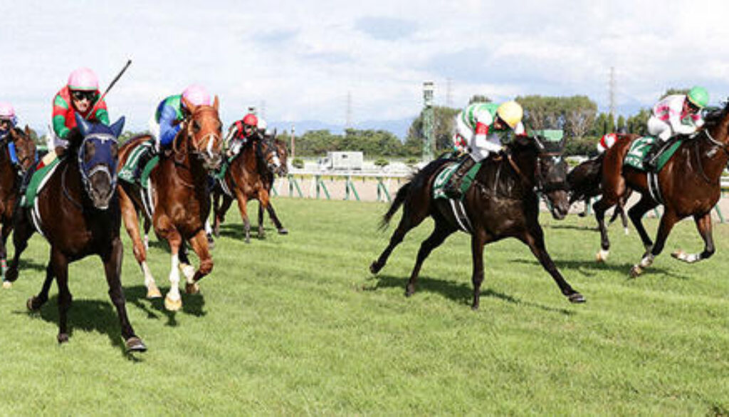 niigatakeiba-新潟競馬