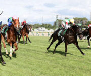 niigatakeiba-新潟競馬