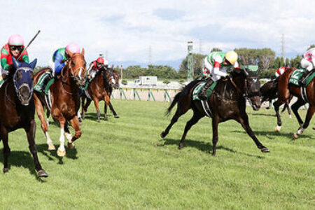 2025年8月16日（土）注目馬☆推薦馬＆参考買い目