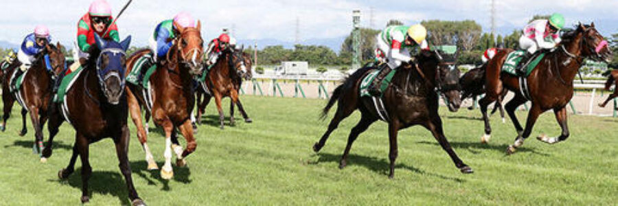 2026年5月31日（日）注目馬☆推薦馬＆参考買い目