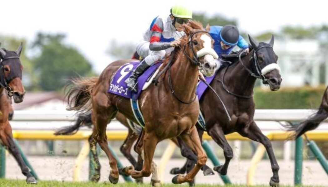 2026年7月4日（土）注目馬☆推薦馬＆参考買い目