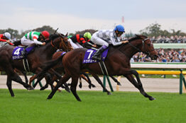 東京１１レース