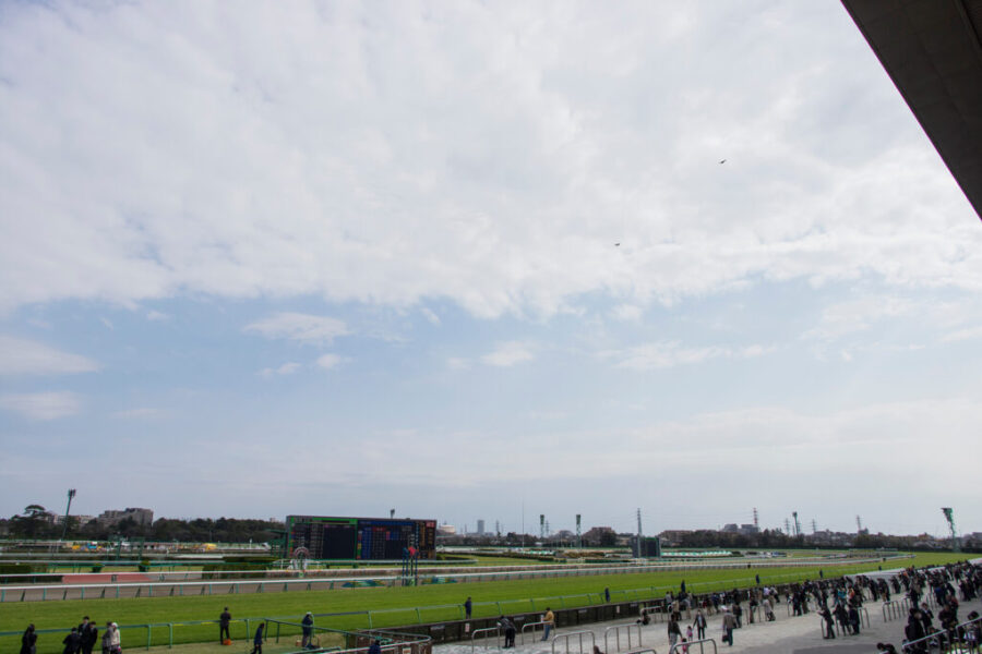 2024年5月26日（日）注目馬☆推薦馬＆参考買い目