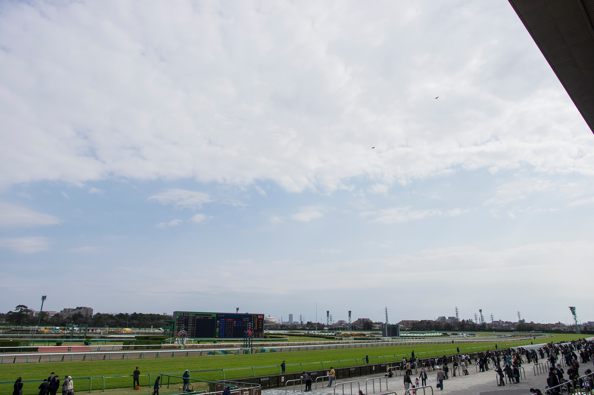 2024年8月4日（日）注目馬☆推薦馬＆参考買い目