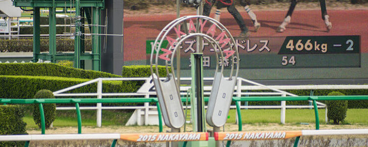 2024年4月13日（土）注目馬☆推薦馬＆参考買い目