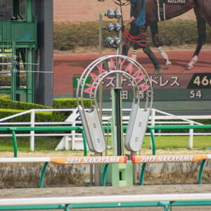 中山１１レース