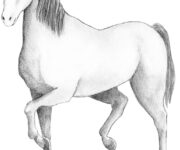 2150035-scaled-1