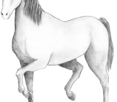 2150035-scaled-1