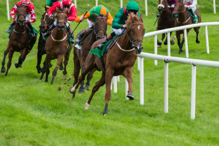 2025年5月18日（日）注目馬☆推薦馬＆参考買い目