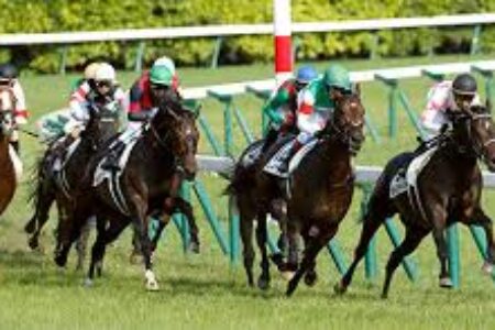 マイルCS～総合指数表＆2022年11月19日（土）注目馬☆推薦馬＆参考買い目