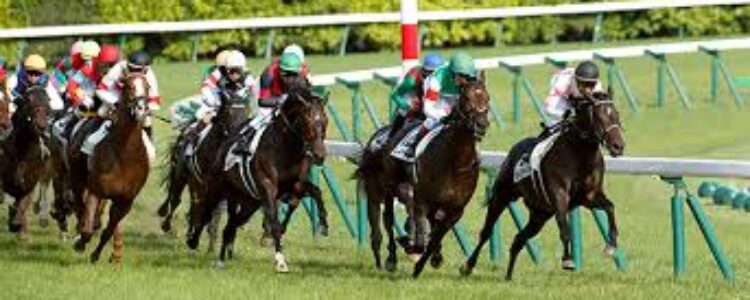マイルCS～総合指数表＆2022年11月19日（土）注目馬☆推薦馬＆参考買い目