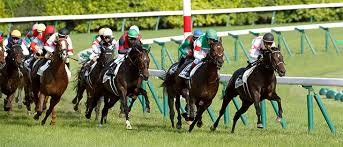 マイルCS～総合指数表＆2022年11月19日（土）注目馬☆推薦馬＆参考買い目