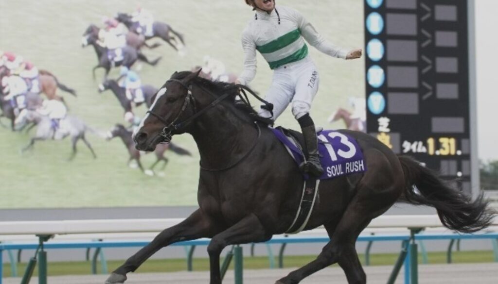 24-11-17-mairucs-soul