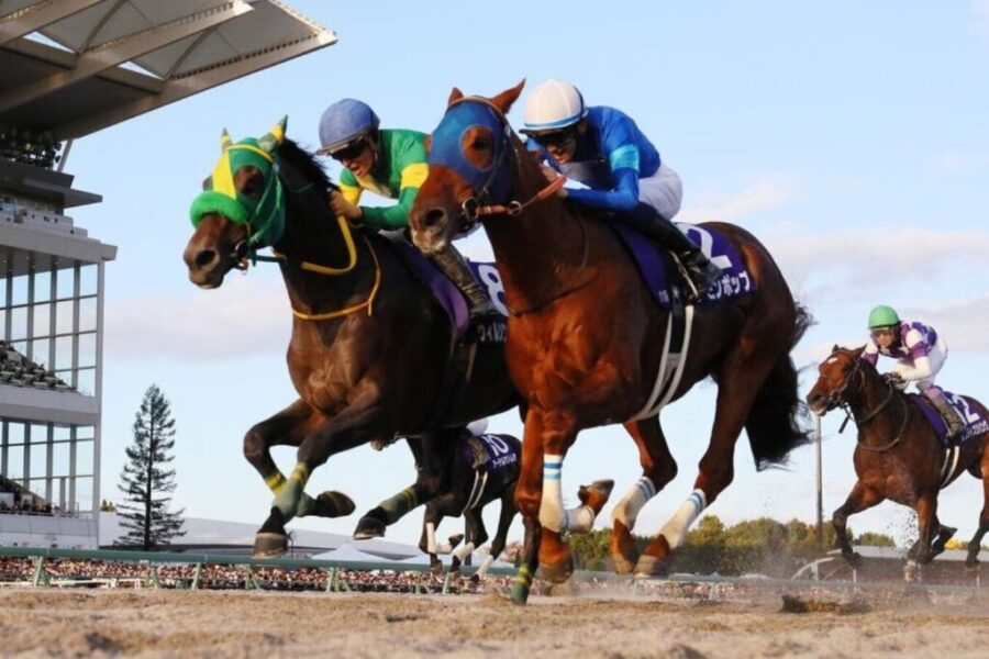 レモンポップは強かった【チャンピオンズカップ】