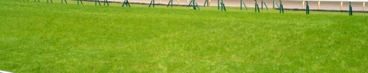 フェブラリーステークス（GI)　総合指数表（枠確定前）