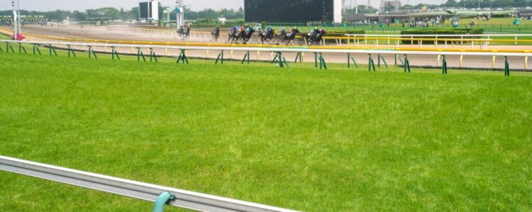 フェブラリーステークス（GI)　総合指数表（枠確定前）