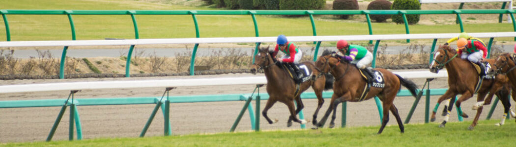 2024年3月31日（日）注目馬☆推薦馬＆参考買い目