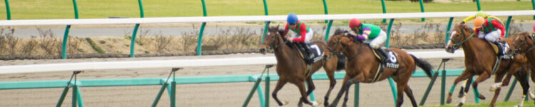 2024年3月31日（日）注目馬☆推薦馬＆参考買い目
