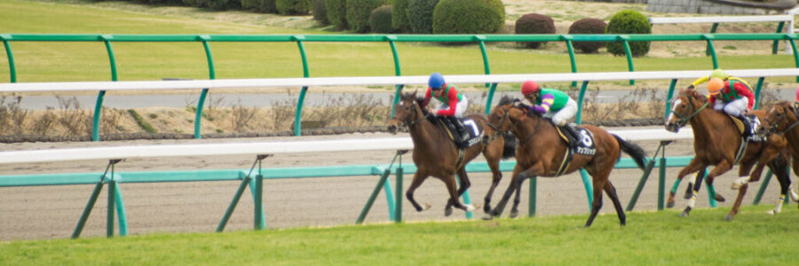 2024年3月31日（日）注目馬☆推薦馬＆参考買い目