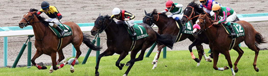 2024年3月2日（土）■中山■注目馬☆推薦馬＆参考買い目