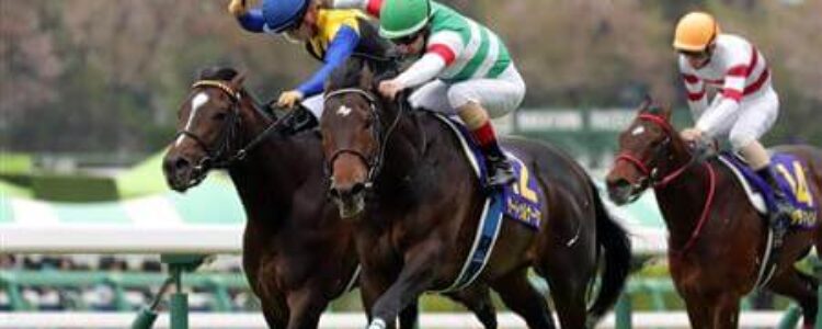 今週の注目馬☆推薦馬