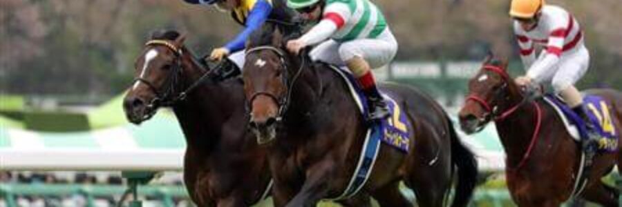 今週の注目馬☆推薦馬