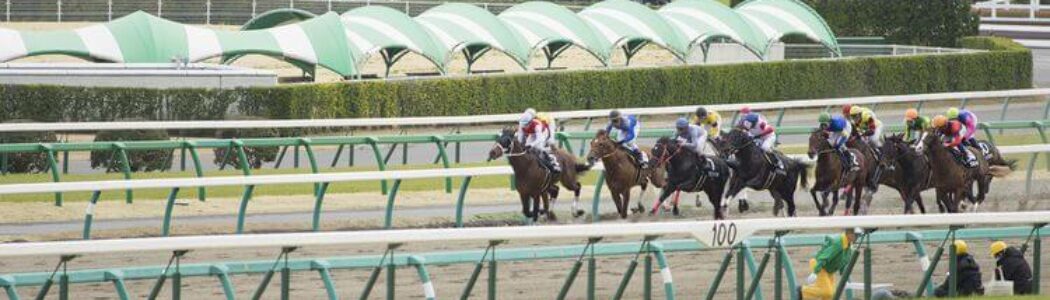 今更フェブラリーステークスを振り返り・・・（2022年2月20日）