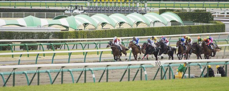 今更フェブラリーステークスを振り返り・・・（2022年2月20日）