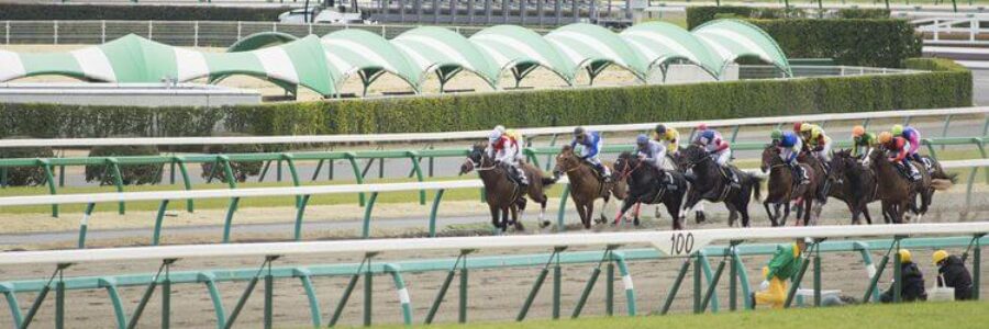 今更フェブラリーステークスを振り返り・・・（2022年2月20日）