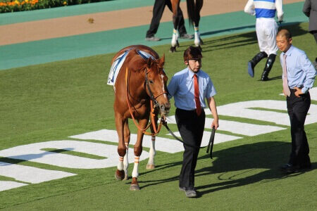 2022年3月5日（土）注目馬☆推薦馬＆参考買い目