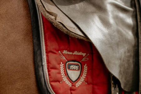 2025年12月28日（日）注目馬☆推薦馬＆参考買い目