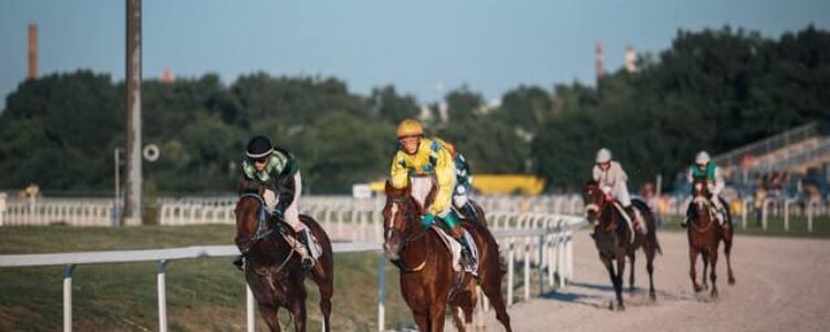 2021年8月21日、22日（日）注目馬☆推薦馬