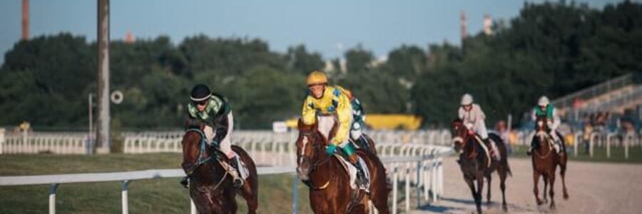 2021年8月21日、22日(日)注目馬☆推薦馬 2021年8月21日、22日(日)注目馬☆推薦馬