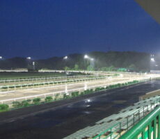 佐賀競馬場