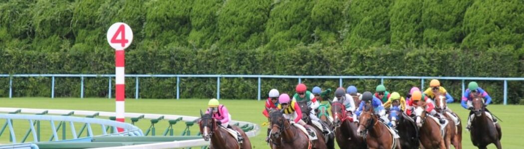 2022年7月24日（日）注目馬☆推薦馬＆参考買い目
