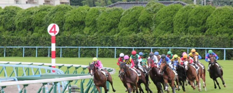 小倉記念（GIII)　総合指数表（前々日）