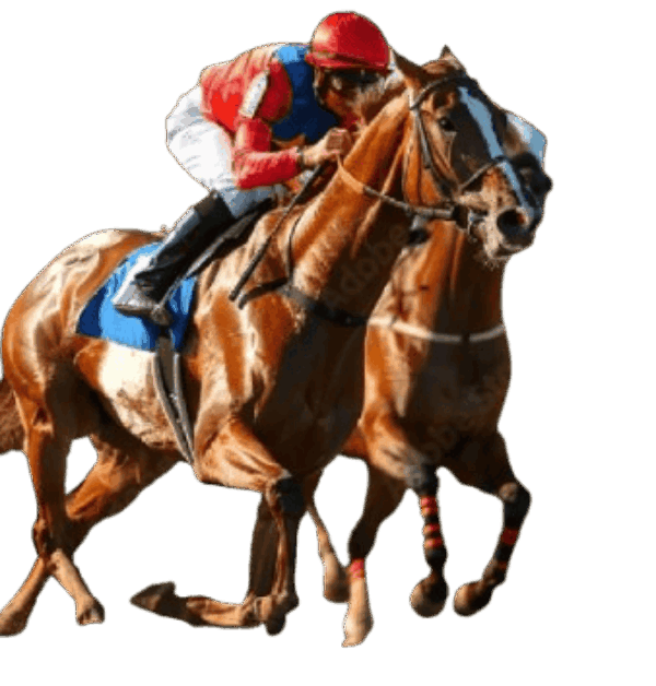 Screenshot_2-removebg-preview