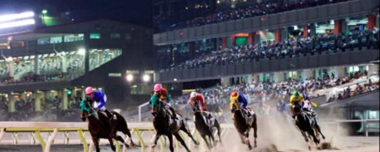 東京ダービー（Jpn I）【大井競馬】