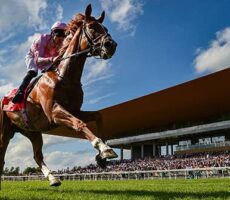curragh