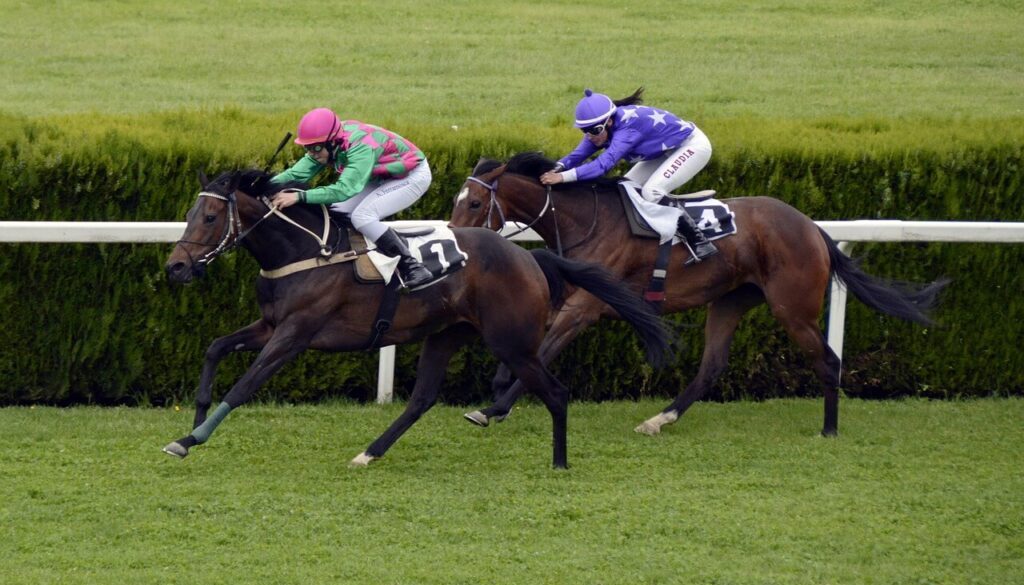 horse-racing-1577292_1280